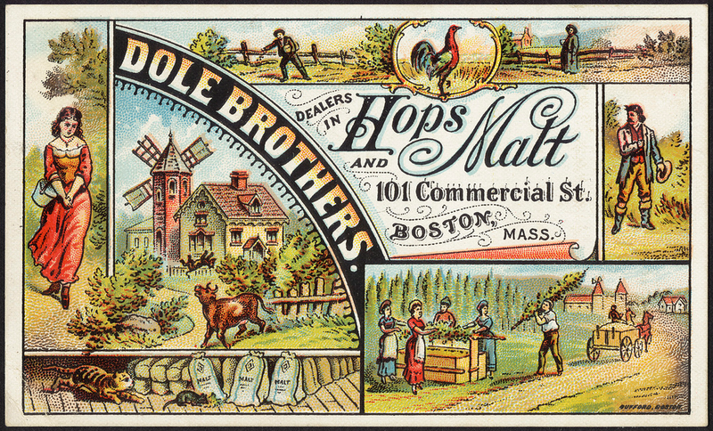 Illustration for article titled Wet Hop Beer: The Real Seasonal Brew You Should Be Drinking This Fall